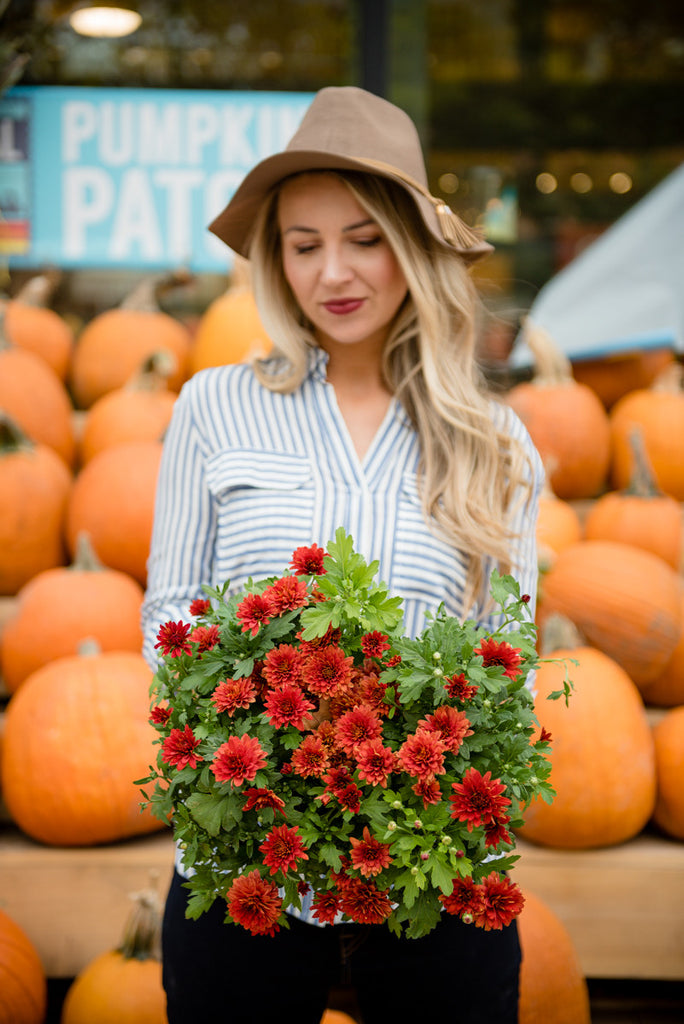 Nautical Stripe Blouse